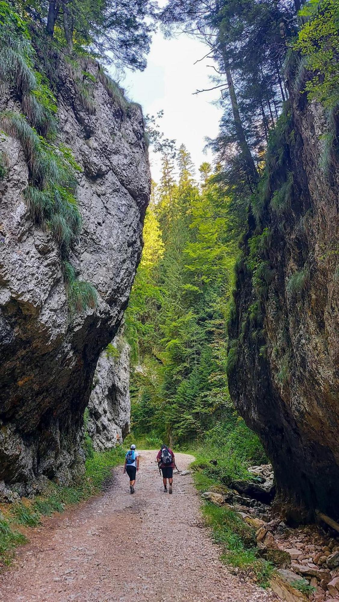 Cazare Zorilor Zarnesti Quarto foto