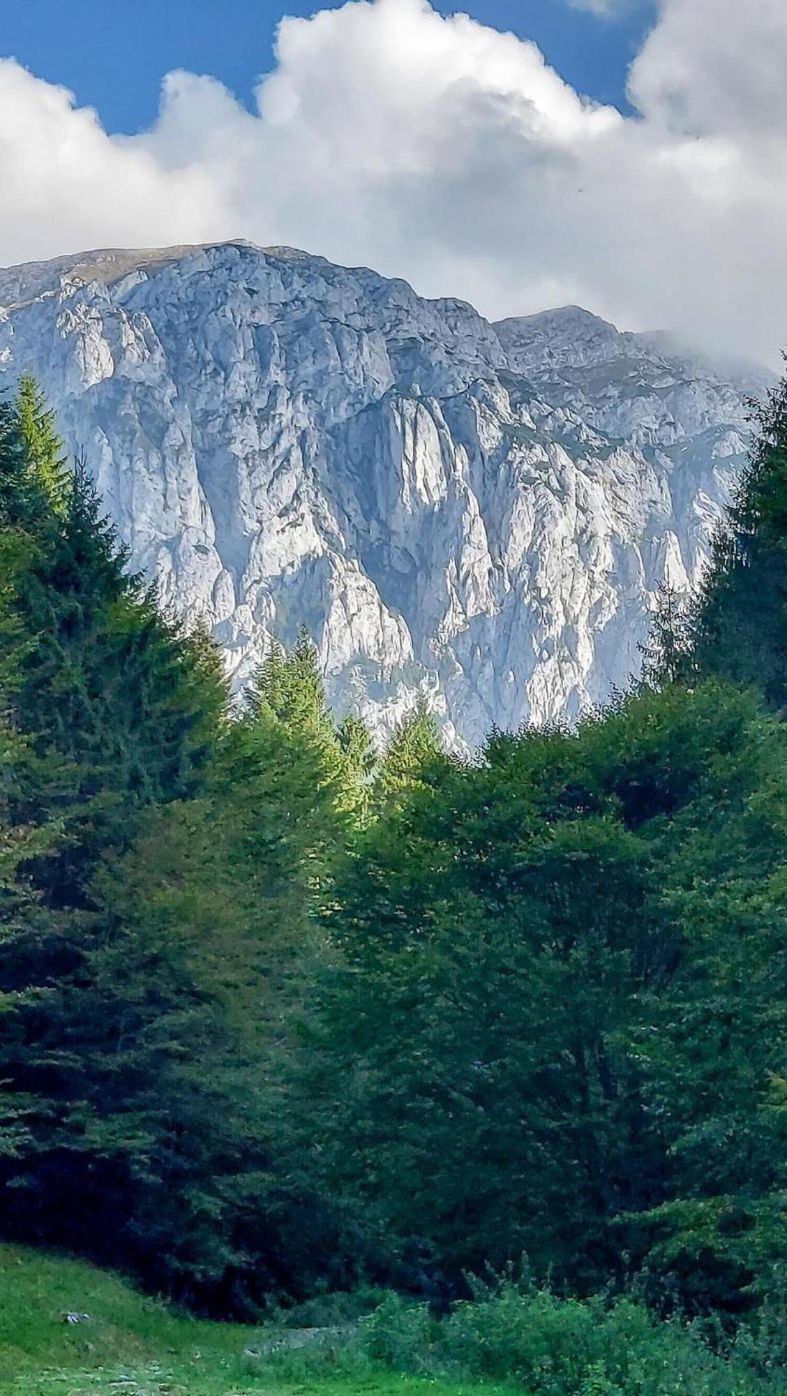 Cazare Zorilor Zarnesti Quarto foto