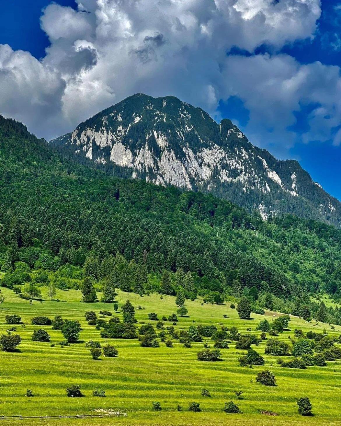 Cazare Zorilor Zarnesti Quarto foto