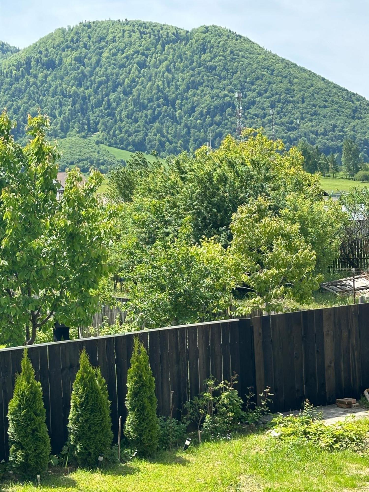 Cazare Zorilor Zarnesti Quarto foto