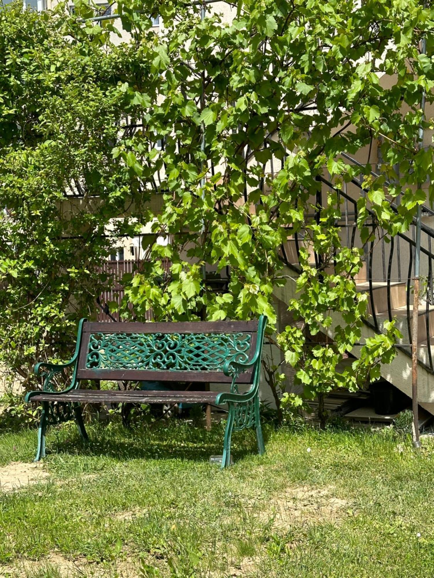 Cazare Zorilor Zarnesti Quarto foto